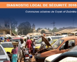 Local diagnostic of security 2016 (new)